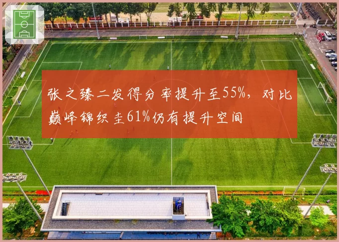 张之臻二发得分率提升至55%，对比巅峰锦织圭61%仍有提升空间