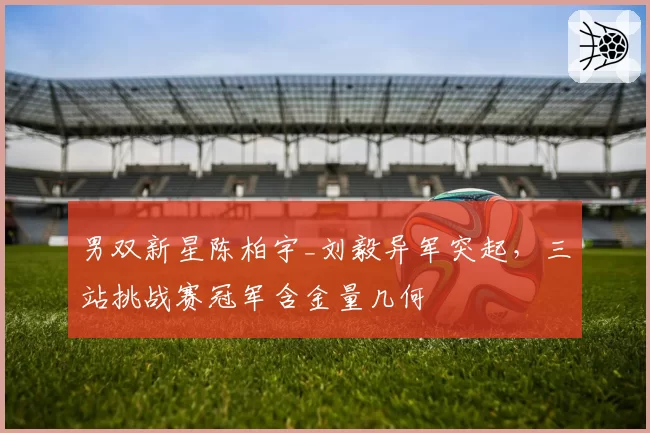 男双新星陈柏宇_刘毅异军突起，三站挑战赛冠军含金量几何