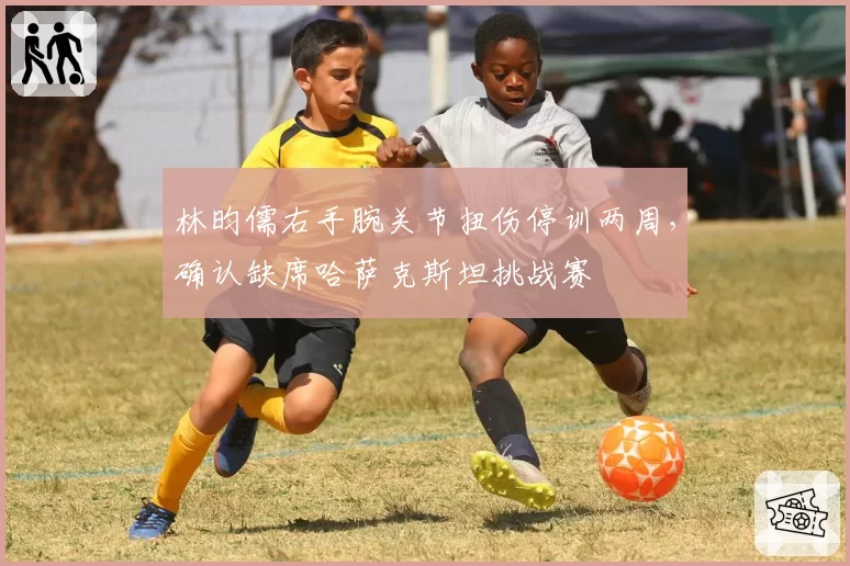 林昀儒右手腕关节扭伤停训两周，确认缺席哈萨克斯坦挑战赛