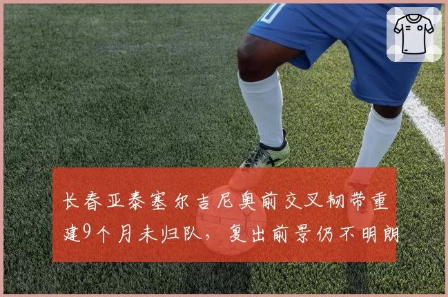 长春亚泰塞尔吉尼奥前交叉韧带重建9个月未归队,复出前景仍不明朗