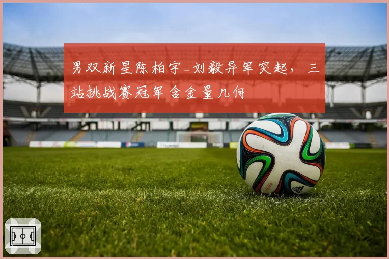 男双新星陈柏宇_刘毅异军突起，三站挑战赛冠军含金量几何